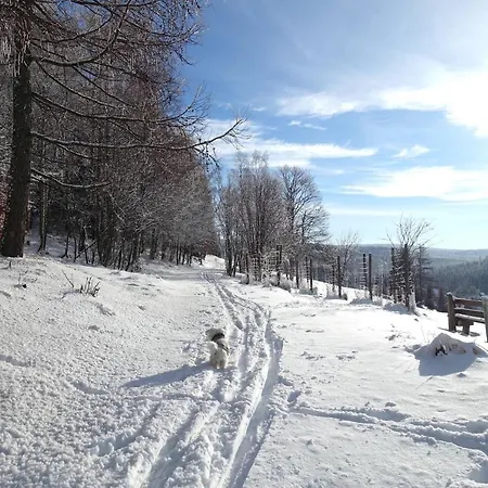 Haus Donnerberg Rehefeld Altenberg