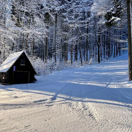 Haus Donnerberg Rehefeld *