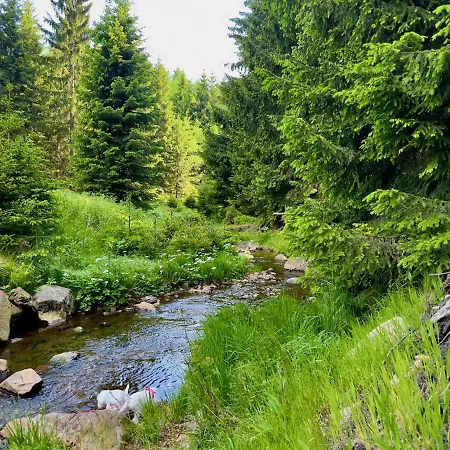 Haus Donnerberg Rehefeld דירה