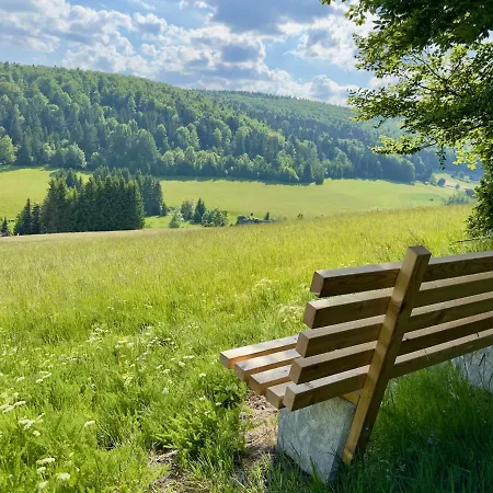 Die Bergresidenz Donnerberg Daire Altenberg (Erzgebirge)