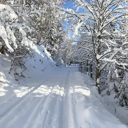 Haus Donnerberg Rehefeld 아파트