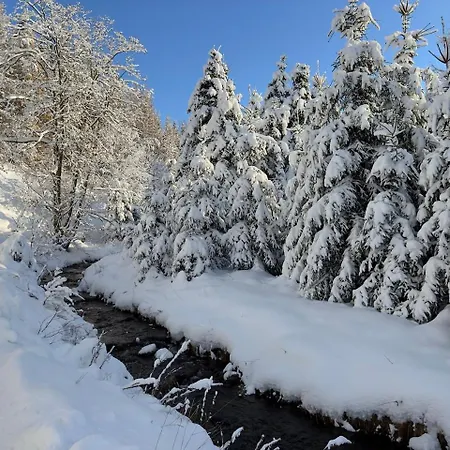 Haus Donnerberg Rehefeld Altenberg