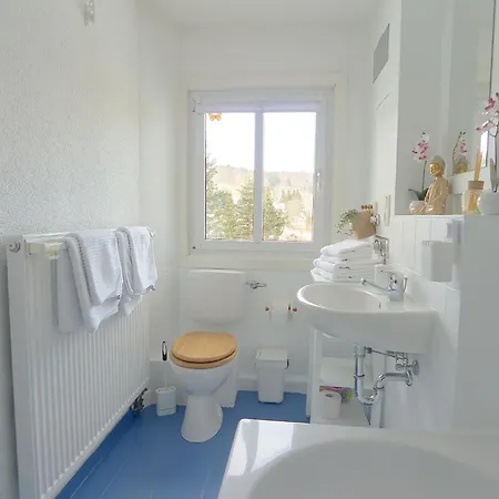 דירה Haus Donnerberg Rehefeld Altenberg