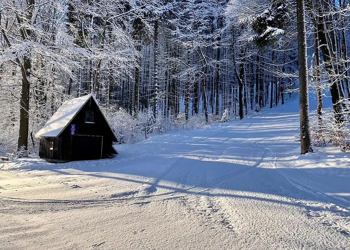 Haus Donnerberg Rehefeld *