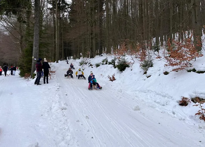 Haus Donnerberg Rehefeld Апартаменты *