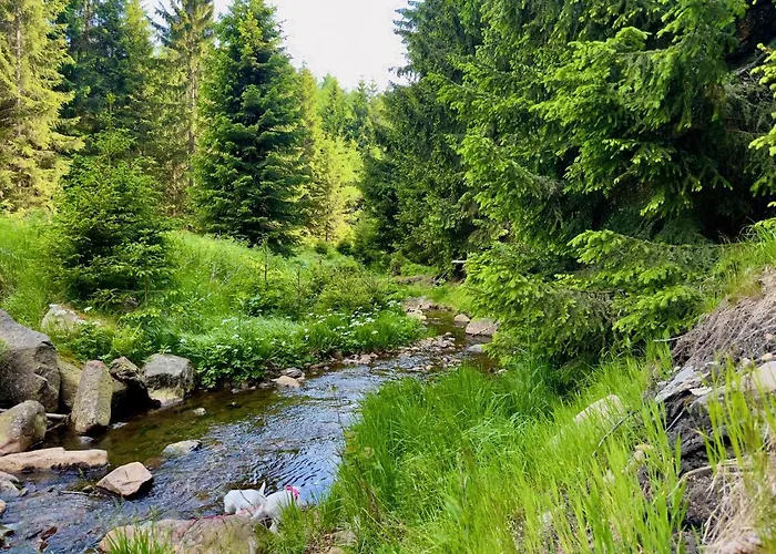 Haus Donnerberg Rehefeld Апартаменты