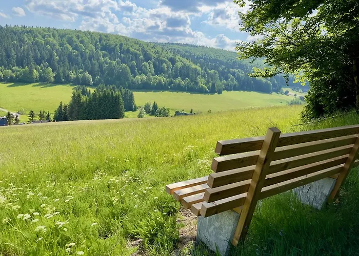 Haus Donnerberg Rehefeld Апартаменты Альтенберг