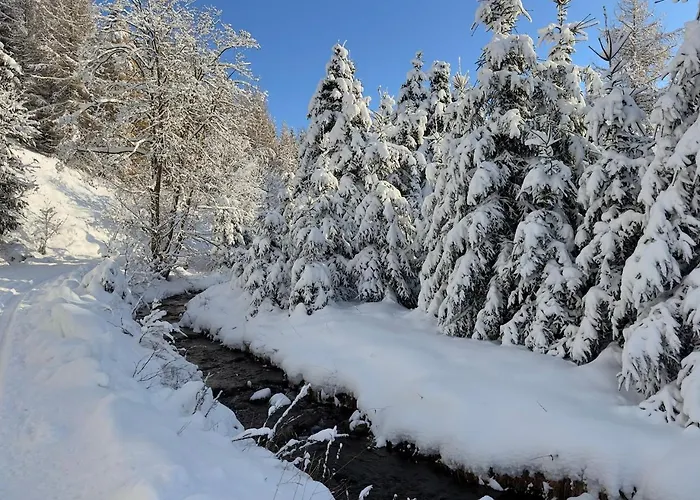 Haus Donnerberg Rehefeld Альтенберг