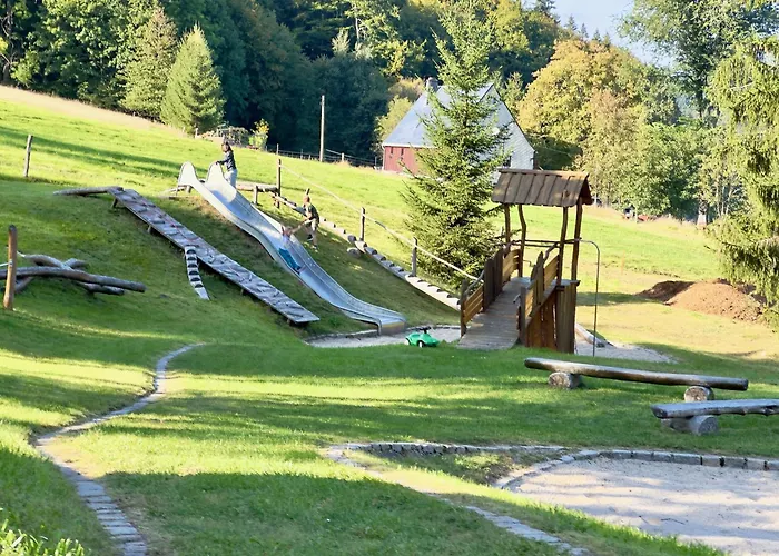 Апартаменты Haus Donnerberg Rehefeld Альтенберг